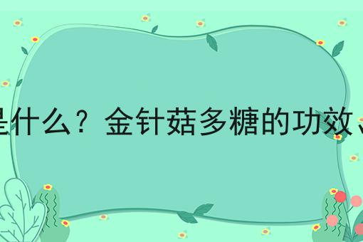 金针菇多糖是什么？金针菇多糖的功效、作用及用途