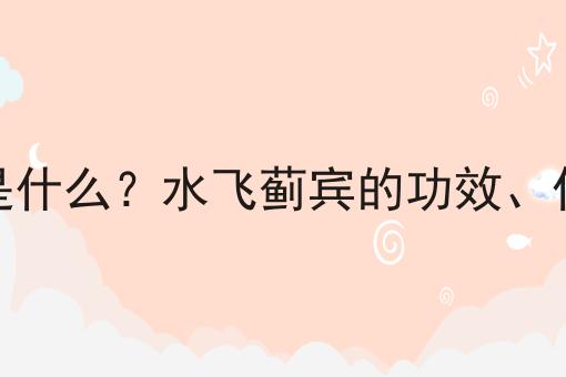 水飞蓟宾是什么？水飞蓟宾的功效、作用及用途