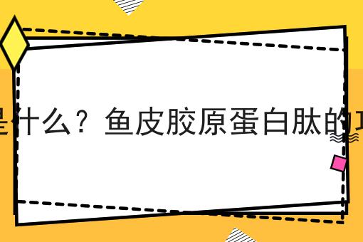 鱼皮胶原蛋白肽是什么？鱼皮胶原蛋白肽的功效、作用及用途