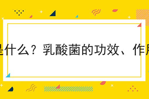 乳酸菌是什么？乳酸菌的功效、作用及用途