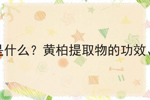 黄柏提取物是什么？黄柏提取物的功效、作用及用途