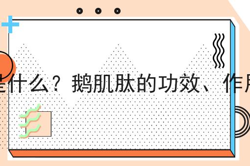 鹅肌肽是什么？鹅肌肽的功效、作用及用途