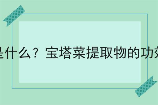 宝塔菜提取物是什么？宝塔菜提取物的功效、作用及用途