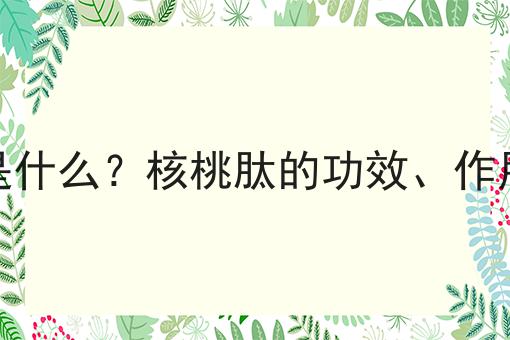 核桃肽是什么？核桃肽的功效、作用及用途