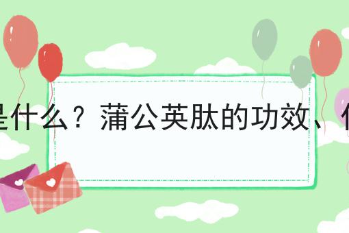 蒲公英肽是什么？蒲公英肽的功效、作用及用途