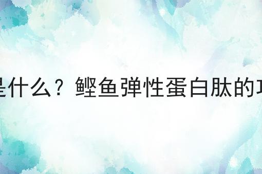 鲣鱼弹性蛋白肽是什么？鲣鱼弹性蛋白肽的功效、作用及用途