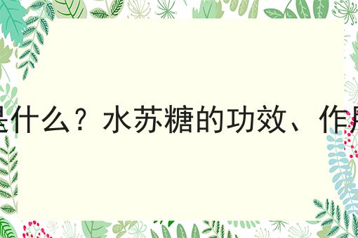 水苏糖是什么？水苏糖的功效、作用及用途