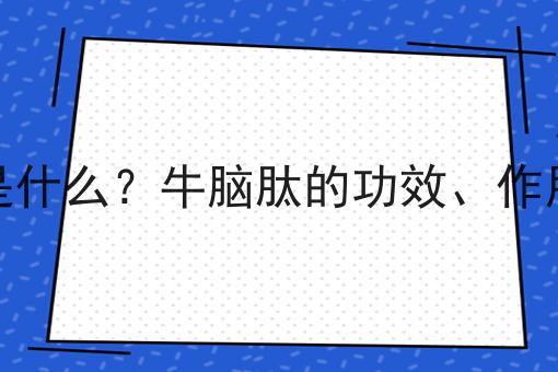 牛脑肽是什么？牛脑肽的功效、作用及用途