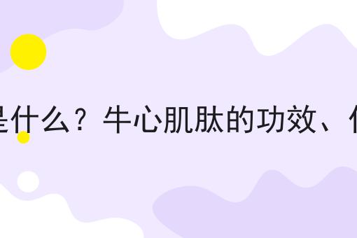 牛心肌肽是什么？牛心肌肽的功效、作用及用途