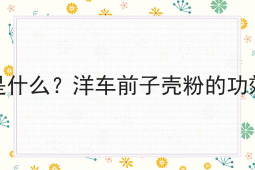 洋车前子壳粉是什么？洋车前子壳粉的功效、作用及用途