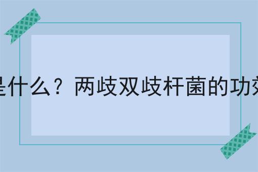 两歧双歧杆菌是什么？两歧双歧杆菌的功效、作用及用途