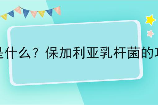 保加利亚乳杆菌是什么？保加利亚乳杆菌的功效、作用及用途