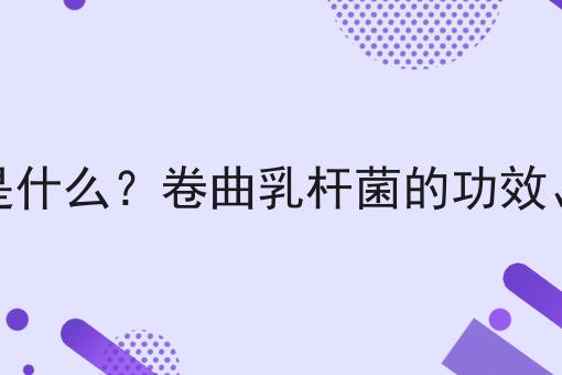 卷曲乳杆菌是什么？卷曲乳杆菌的功效、作用及用途