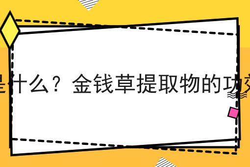 金钱草提取物是什么？金钱草提取物的功效、作用及用途