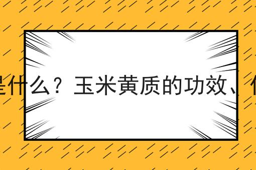 玉米黄质是什么？玉米黄质的功效、作用及用途