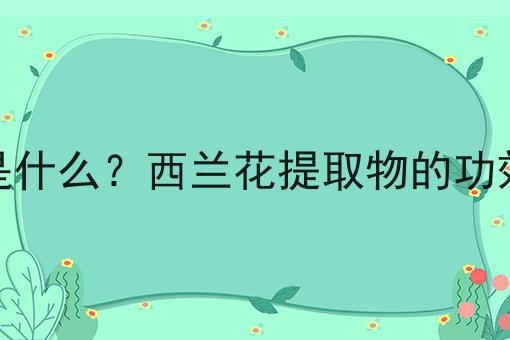 西兰花提取物是什么？西兰花提取物的功效、作用及用途