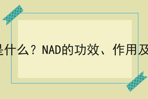 NAD是什么？NAD的功效、作用及用途