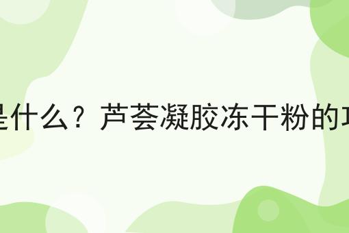 芦荟凝胶冻干粉是什么？芦荟凝胶冻干粉的功效、作用及用途