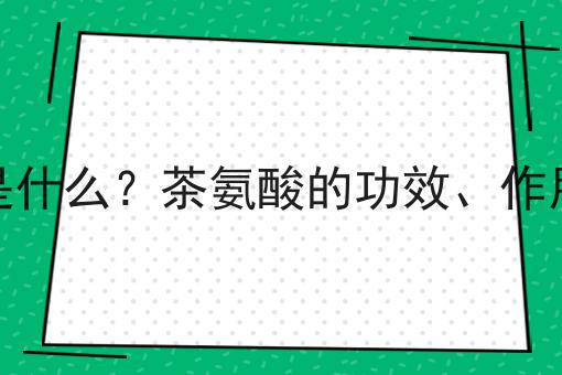 茶氨酸是什么？茶氨酸的功效、作用及用途