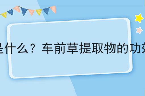 车前草提取物是什么？车前草提取物的功效、作用及用途