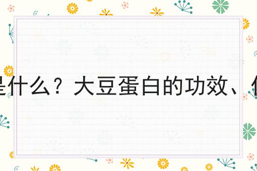 大豆蛋白是什么？大豆蛋白的功效、作用及用途