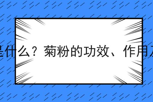 菊粉是什么？菊粉的功效、作用及用途