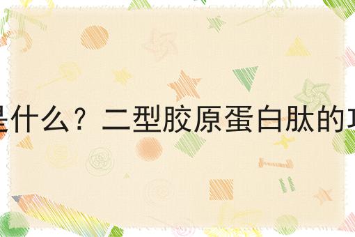 二型胶原蛋白肽是什么？二型胶原蛋白肽的功效、作用及用途