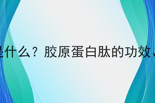 胶原蛋白肽是什么？胶原蛋白肽的功效、作用及用途