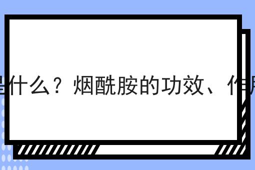 烟酰胺是什么？烟酰胺的功效、作用及用途