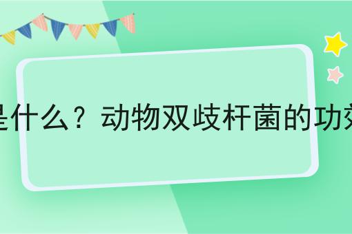 动物双歧杆菌是什么？动物双歧杆菌的功效、作用及用途