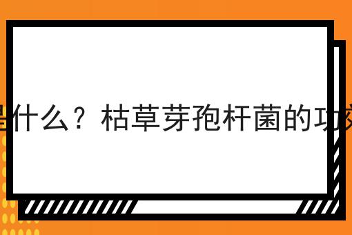 枯草芽孢杆菌是什么？枯草芽孢杆菌的功效、作用及用途