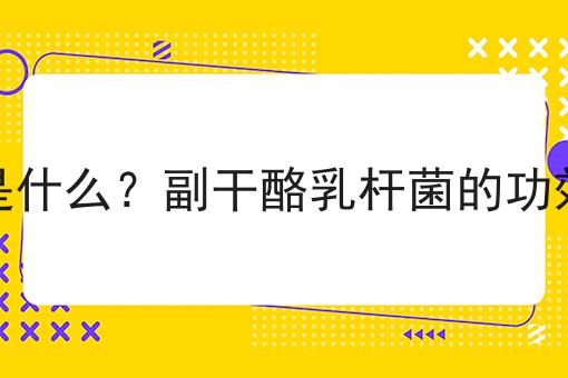 副干酪乳杆菌是什么？副干酪乳杆菌的功效、作用及用途