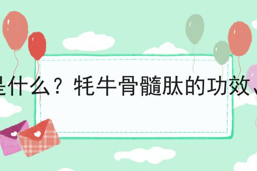 牦牛骨髓肽是什么？牦牛骨髓肽的功效、作用及用途