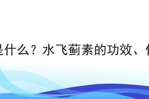 水飞蓟素是什么？水飞蓟素的功效、作用及用途