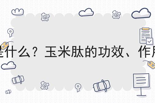 玉米肽是什么？玉米肽的功效、作用及用途