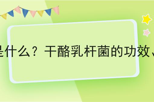 干酪乳杆菌是什么？干酪乳杆菌的功效、作用及用途