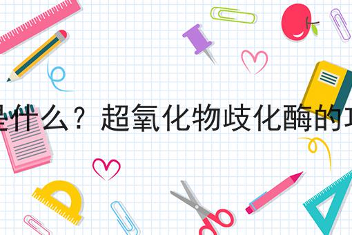 超氧化物歧化酶是什么？超氧化物歧化酶的功效、作用及用途