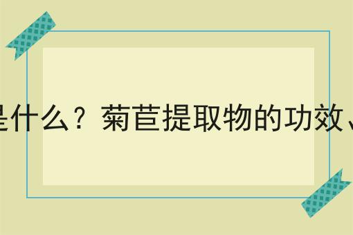 菊苣提取物是什么？菊苣提取物的功效、作用及用途