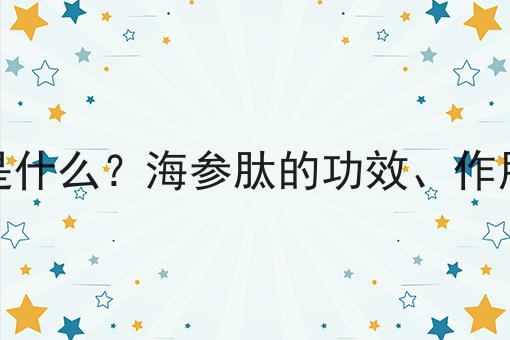 海参肽是什么？海参肽的功效、作用及用途