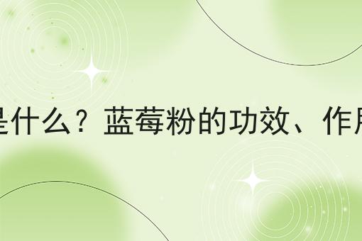 蓝莓粉是什么？蓝莓粉的功效、作用及用途