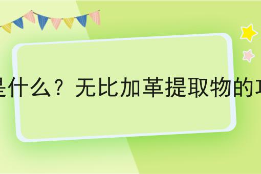 无比加革提取物是什么？无比加革提取物的功效、作用及用途