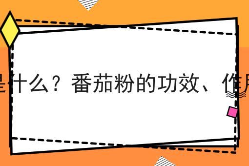 番茄粉是什么？番茄粉的功效、作用及用途