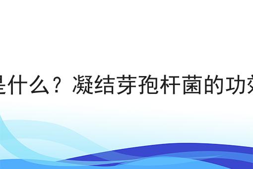 凝结芽孢杆菌是什么？凝结芽孢杆菌的功效、作用及用途