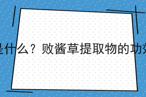 败酱草提取物是什么？败酱草提取物的功效、作用及用途