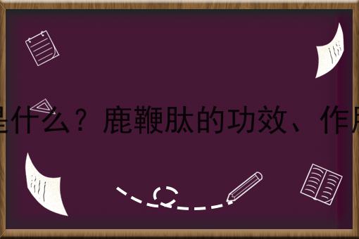 鹿鞭肽是什么？鹿鞭肽的功效、作用及用途